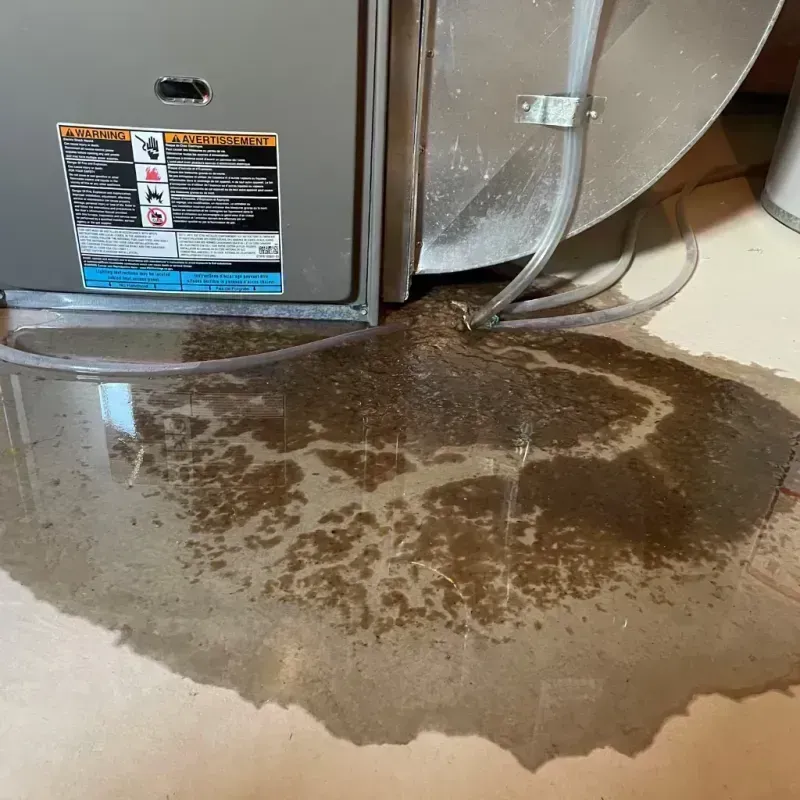 Appliance Leak Cleanup in Carencro, LA